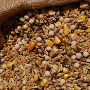 Aliments de volailles — Résultat